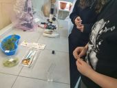 IMG_20260206_131852