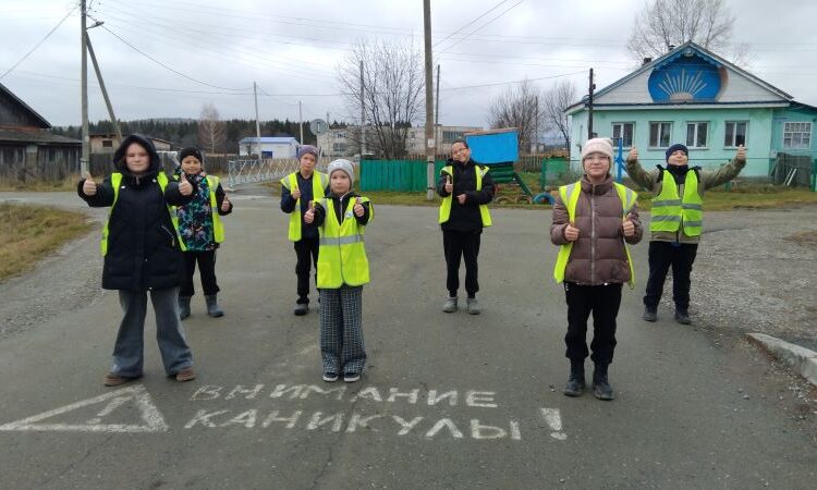 сош д. Васькино